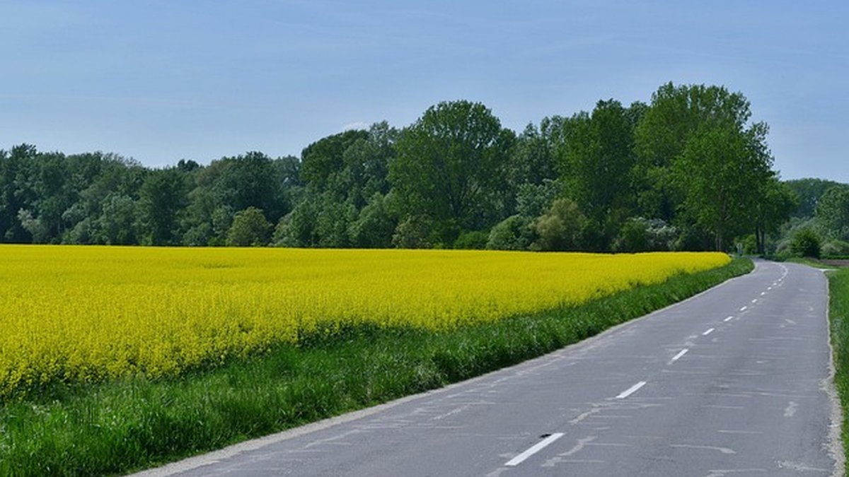 Marca tridimensional: proteger formas y packaging